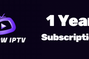 1 Year